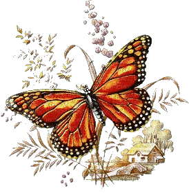 Papillon. - GIF animate gratis