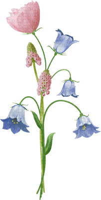 pink-blue-flower-minou52 - png grátis