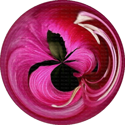 rosad - PNG gratuit