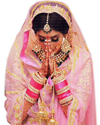 Rena Pink Woman Frau Indien Braut - безплатен png