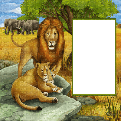 Kaz_Creations Deco Background Frame Lion King Cartoon - PNG gratuit