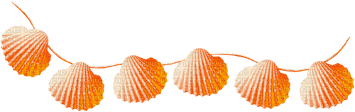 Hanging Seashells.Orange - безплатен png
