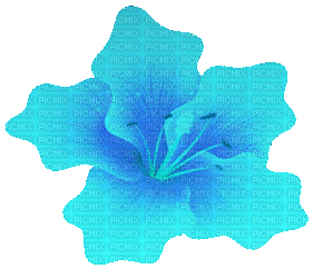 turquoise animated flower - Ücretsiz animasyonlu GIF