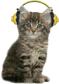 Kathleen Reynolds Cat Kitten - bezmaksas png