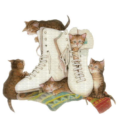 Kaz_Creations Animated Cats Kittens Ice Skates Boots - Darmowy animowany GIF