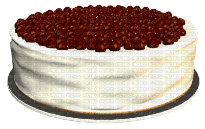 cake-torta-gâteau-tårta-minou52 - png ฟรี