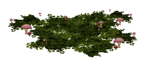 Gras mit Pilzen. - 免费动画 GIF