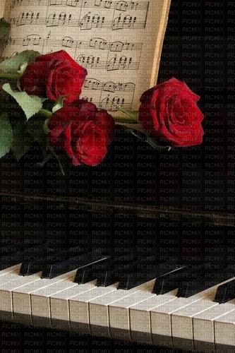 Piano And Rose🌹 - By StormGalaxy05 - Free PNG