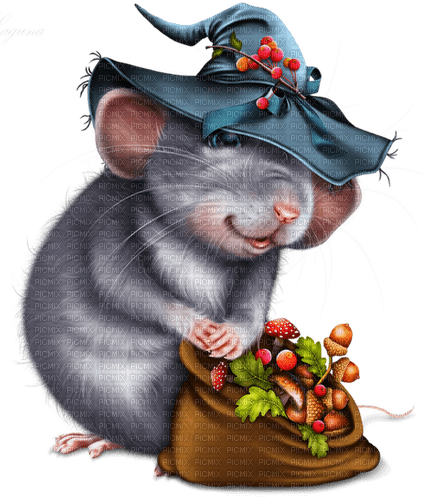 Ratón el brujo - 無料png