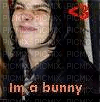 gee bunny - Free PNG
