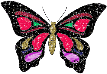 butterfly-NitsaPap - Nemokamas animacinis gif