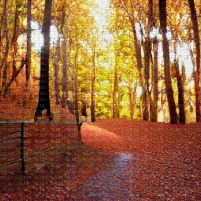 Autumn Path - 無料png