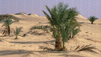 desert background bp - Free PNG