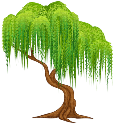 trees bp - безплатен png