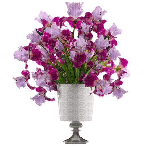 iris flower bouquet - png grátis