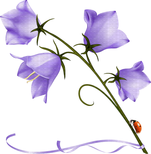 Flower with Ladybug - PNG gratuit