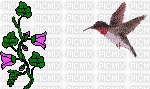 oiseau et fleurs 1 - 免费动画 GIF