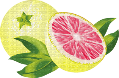 patymirabelle fruits citron - PNG gratuit