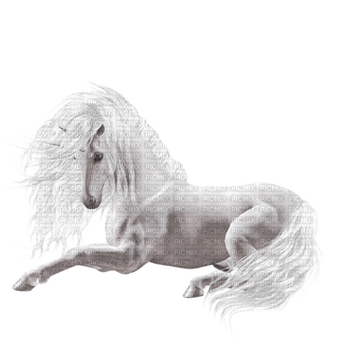 Kaz_Creations Animals Horses Horse - PNG gratuit