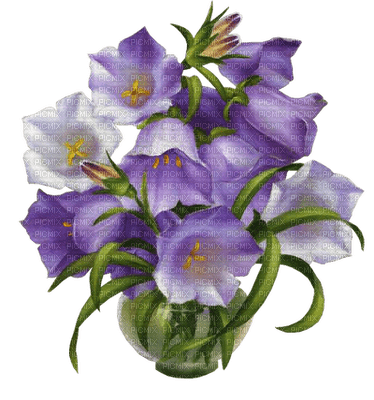 Kaz_Creations Flowers Deco Vase Flower Colours - png gratuito
