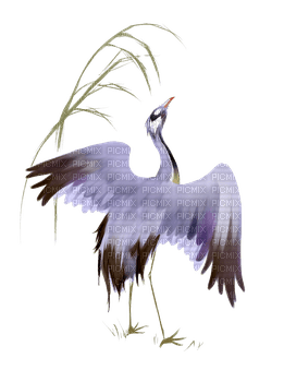 crane birds bp - png gratuito