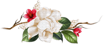 soave deco branch flowers rose pink green - 無料png