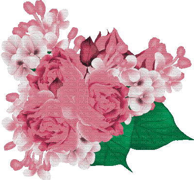 Y.A.M._Summer flowers - GIF animé gratuit