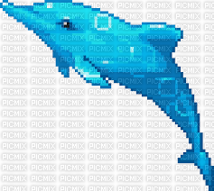 pixel dolphin - PNG gratuit