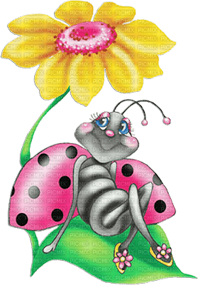 soave deco ladybug flowers - zdarma png