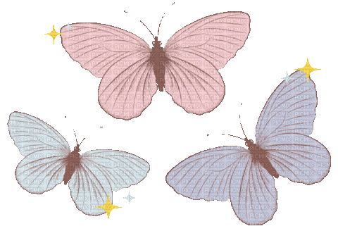 butterfly - Gratis geanimeerde GIF