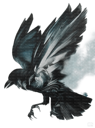 Raven - 免费PNG