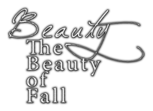 The Beauty Of Fall.Text.White.Black - png gratuito