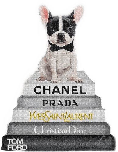 Chanel Book Dog - Bogusia - безплатен png