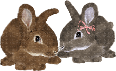 Kaz_Creations Easter Deco Animals Rabbits Rabbit - png gratuito