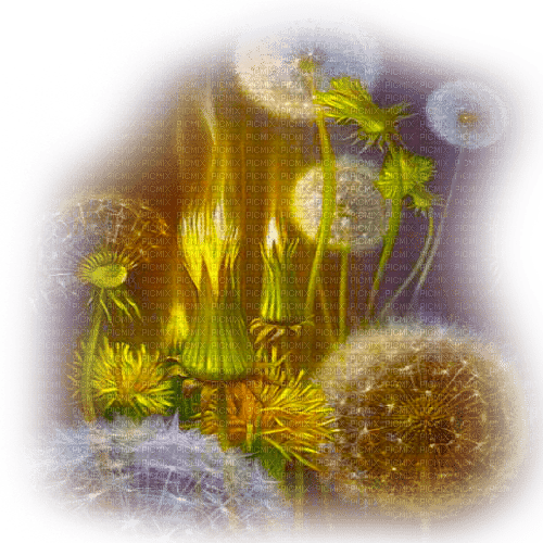 Y.A.M._Fantasy Summer background flowers - 免费PNG