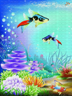 рыбки - GIF animasi gratis