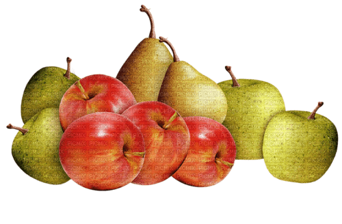peras i manzanas  dubravka4 - 免费PNG