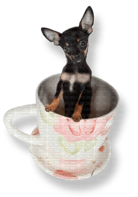 Kaz_Creations Dog-In-Cup - kostenlos png