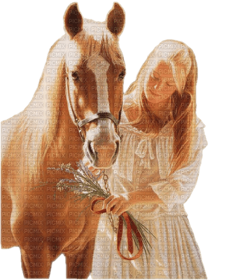 caballo - бесплатно png