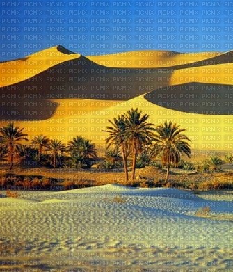 Oasis on the desert - ücretsiz png