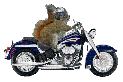 moto by EstrellaCristal - GIF animado gratis