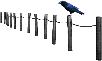 soave deco halloween gothic bird fence - png ฟรี
