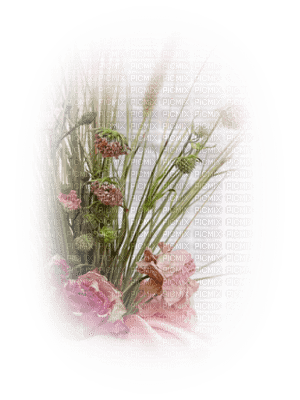 minou-flower-blomma-fiori-fleur - gratis png