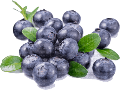 blueberries bp - PNG gratuit