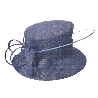 Hat. Blue. Leila - GIF animé gratuit