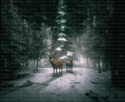Winter.Hiver.Paysage.Landscape.Victoriabea - Безплатен анимиран GIF