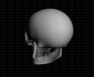 spinning skull - Бесплатный анимированный гифка