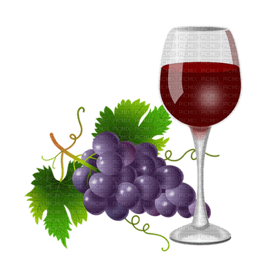 grapes, viinirypäle, hedelmä - 無料png