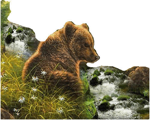 bear milla1959 - Besplatni animirani GIF