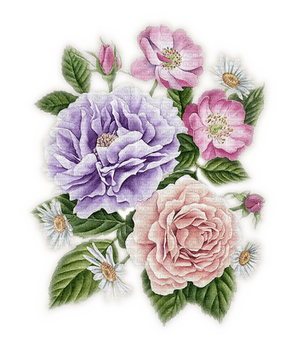 Blumen, Frühling, Rosen - nemokama png
